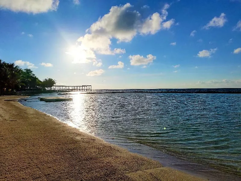 El Dorado Seaside Palms, Catamaran, Cenote & More Inclusive (Adults Only) Xpu Ha
