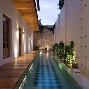 ***** Hotel Mas Palomas Concept House By Paloma's - Adults Only Mexico