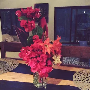 ** Bed & Breakfast Escarabajo Rojo Mexico